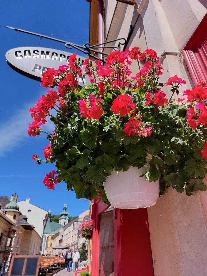 Penzion Cosmopolitan Ii. Banská Štiavnica المظهر الخارجي الصورة